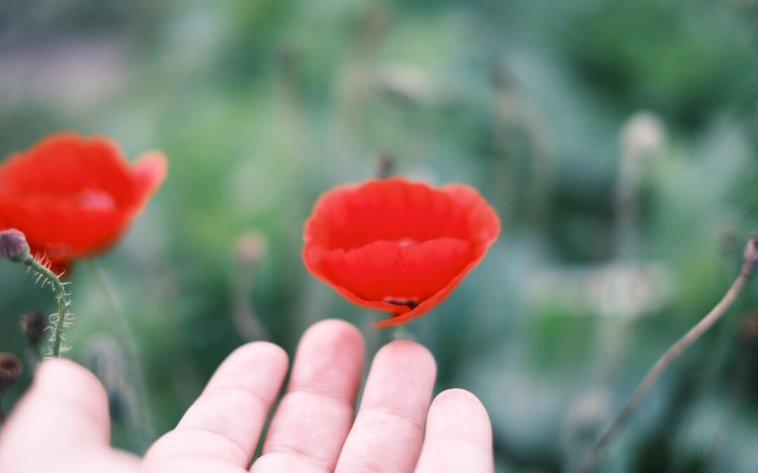 La trampa de querer tenerlo todo bajo control